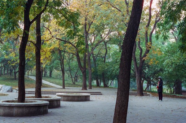 Révolution de la Formation Médicale : Explorer les Tendances et Innovations Modernes