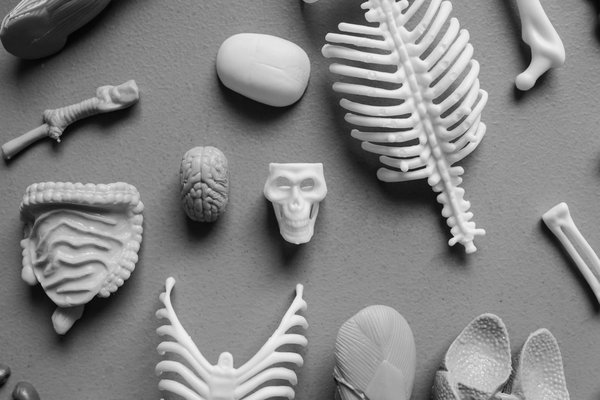 Découvrez le Drainage Lymphatique pour une Silhouette Affinée : Guide Complet